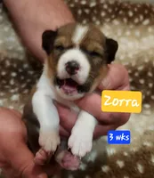 processed/b9832a2c-babe-464f-97a6-d25182734403/listing/79cbc10a-9468-4b91-a049-abe4ed2b35d1/db9e23a4-6b1d-4e45-b565-6101974e9f90