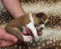 processed/b9832a2c-babe-464f-97a6-d25182734403/listing/79cbc10a-9468-4b91-a049-abe4ed2b35d1/dc35d8f9-31dd-46e8-a578-6a9a5938d475