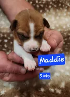 processed/b9832a2c-babe-464f-97a6-d25182734403/listing/8b296b64-c084-4819-b57b-56eff02e3411/12b92cf8-83bb-4541-885e-e1ed65a549f0