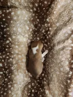 processed/b9832a2c-babe-464f-97a6-d25182734403/listing/8b296b64-c084-4819-b57b-56eff02e3411/17a0c78e-9b16-4fa9-bea1-0e41fa5be8f2