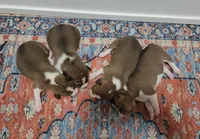 processed/b9832a2c-babe-464f-97a6-d25182734403/listing/8b296b64-c084-4819-b57b-56eff02e3411/da6e47d2-e537-48a1-bc38-a90e40e48034