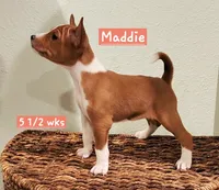 processed/b9832a2c-babe-464f-97a6-d25182734403/listing/8b296b64-c084-4819-b57b-56eff02e3411/de3ff570-a25b-4be6-bcb3-698830c968ab