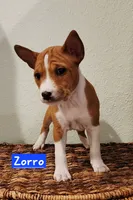 processed/b9832a2c-babe-464f-97a6-d25182734403/listing/b2aac42d-52b5-4bbd-a3ad-91bcfcbeaeb9/22bb36f9-971b-4428-9738-2f2c866492f2