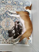 processed/b9832a2c-babe-464f-97a6-d25182734403/listing/b2aac42d-52b5-4bbd-a3ad-91bcfcbeaeb9/4039dc28-fbf0-4d47-a62d-ec61ac09103f