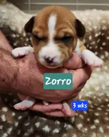 processed/b9832a2c-babe-464f-97a6-d25182734403/listing/b2aac42d-52b5-4bbd-a3ad-91bcfcbeaeb9/80ca30d3-e9b4-46ef-89ad-62ab3fe3f577