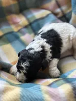 processed/b9892a94-0a40-4ffb-9fe3-cb8cf2aaaf5f/listing/e800550a-07af-4e6f-8f3f-071bbeb0253e/a6203ec2-eb8f-462b-8240-659e2a5dcfe9