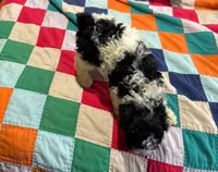 processed/b9892a94-0a40-4ffb-9fe3-cb8cf2aaaf5f/listing/e800550a-07af-4e6f-8f3f-071bbeb0253e/b05a35d9-f44c-4845-b8b1-2fbce8c1ae67