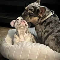 processed/b9978038-662a-4559-ba27-6d34677ec7ee/facility/0aa2f11b-27e1-49cc-90fe-567c3bb030d8