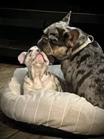 processed/b9978038-662a-4559-ba27-6d34677ec7ee/facility/0aa2f11b-27e1-49cc-90fe-567c3bb030d8