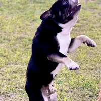 processed/b9978038-662a-4559-ba27-6d34677ec7ee/facility/0dcfc196-f97f-45a0-83b4-945cd205ad45