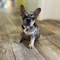 processed/b9978038-662a-4559-ba27-6d34677ec7ee/facility/56d22d8e-be60-4618-b313-bfa4c759bbdb