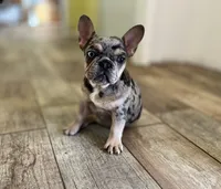 processed/b9978038-662a-4559-ba27-6d34677ec7ee/facility/56d22d8e-be60-4618-b313-bfa4c759bbdb