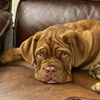 processed/b9978038-662a-4559-ba27-6d34677ec7ee/facility/aa8299d7-c88b-4dc1-8168-365fe0db894b