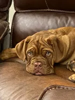 processed/b9978038-662a-4559-ba27-6d34677ec7ee/facility/aa8299d7-c88b-4dc1-8168-365fe0db894b