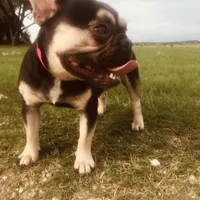 processed/b9978038-662a-4559-ba27-6d34677ec7ee/facility/b201a980-30e7-4468-a3c8-99c3392a01d1