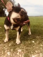 processed/b9978038-662a-4559-ba27-6d34677ec7ee/facility/b201a980-30e7-4468-a3c8-99c3392a01d1