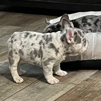 processed/b9978038-662a-4559-ba27-6d34677ec7ee/facility/bc246a01-b66d-4d61-9b43-9885638221de