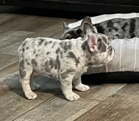 processed/b9978038-662a-4559-ba27-6d34677ec7ee/facility/bc246a01-b66d-4d61-9b43-9885638221de