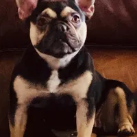 processed/b9978038-662a-4559-ba27-6d34677ec7ee/facility/bd7bf40c-a55f-4461-b05d-6e330d29c84c