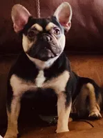 processed/b9978038-662a-4559-ba27-6d34677ec7ee/facility/bd7bf40c-a55f-4461-b05d-6e330d29c84c