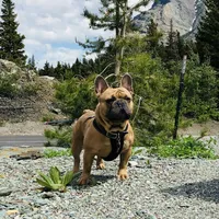 processed/b9978038-662a-4559-ba27-6d34677ec7ee/facility/c6620f33-8598-4a46-89ab-2532caadd71d