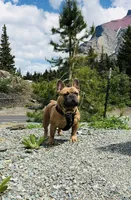 processed/b9978038-662a-4559-ba27-6d34677ec7ee/facility/c6620f33-8598-4a46-89ab-2532caadd71d