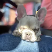 processed/b9978038-662a-4559-ba27-6d34677ec7ee/facility/c7724cc8-a0d8-468f-961b-1a5a1797fc0c