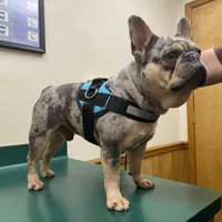 processed/b9978038-662a-4559-ba27-6d34677ec7ee/facility/e57f2dc9-5634-4add-92f4-91aa6ee65356