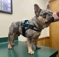 processed/b9978038-662a-4559-ba27-6d34677ec7ee/facility/e57f2dc9-5634-4add-92f4-91aa6ee65356