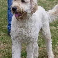 processed/b9a48ab0-6514-460d-ac6a-90c6f0066d8b/facility/60152bb3-73ae-4098-9f35-992877f498c6