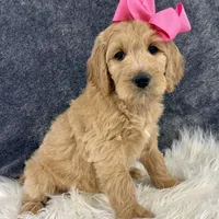 processed/b9a48ab0-6514-460d-ac6a-90c6f0066d8b/facility/60ddf984-9b00-436e-875a-4e2448b1f44b