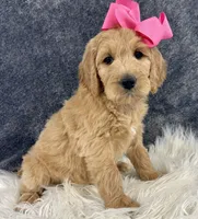 processed/b9a48ab0-6514-460d-ac6a-90c6f0066d8b/facility/60ddf984-9b00-436e-875a-4e2448b1f44b