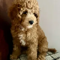 processed/b9a48ab0-6514-460d-ac6a-90c6f0066d8b/facility/a8be8600-5958-4cb3-bddf-e2b4aa90088d