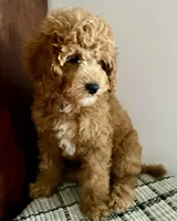 processed/b9a48ab0-6514-460d-ac6a-90c6f0066d8b/facility/a8be8600-5958-4cb3-bddf-e2b4aa90088d