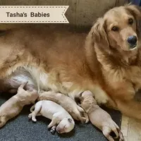 processed/b9a48ab0-6514-460d-ac6a-90c6f0066d8b/facility/b72a6591-2cb7-43f3-b91a-e793107218c4