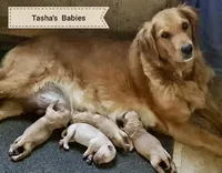 processed/b9a48ab0-6514-460d-ac6a-90c6f0066d8b/facility/b72a6591-2cb7-43f3-b91a-e793107218c4