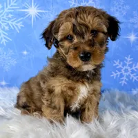 processed/b9a48ab0-6514-460d-ac6a-90c6f0066d8b/listing/6595283c-708e-4e15-84d6-2f96d5d5a04d/02da935e-c4da-4c28-a9be-bebc18b6755b