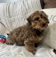 processed/b9a48ab0-6514-460d-ac6a-90c6f0066d8b/listing/6595283c-708e-4e15-84d6-2f96d5d5a04d/1c3022a0-d4ce-4a15-a189-f4d87f93c858