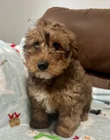 processed/b9a48ab0-6514-460d-ac6a-90c6f0066d8b/listing/6595283c-708e-4e15-84d6-2f96d5d5a04d/83e1d3a8-a140-458b-982b-31f1c33e659b