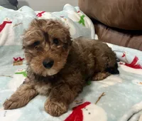 processed/b9a48ab0-6514-460d-ac6a-90c6f0066d8b/listing/6595283c-708e-4e15-84d6-2f96d5d5a04d/c95a135d-b59a-4a35-8ef9-c308e11e8b05