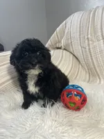 processed/b9a48ab0-6514-460d-ac6a-90c6f0066d8b/listing/768e5556-6cea-4aa8-8119-39a144be224d/1daddf91-fa6f-4fde-ab30-8a036b1fcda2