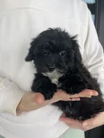 processed/b9a48ab0-6514-460d-ac6a-90c6f0066d8b/listing/768e5556-6cea-4aa8-8119-39a144be224d/c8ba2b39-f931-4dea-a282-ad8553bcf021