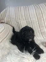 processed/b9a48ab0-6514-460d-ac6a-90c6f0066d8b/listing/7ff84e29-9bea-434c-90a3-c3d6d9464192/334485a4-5d22-4c14-a4f4-80a58a28c89e