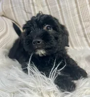 processed/b9a48ab0-6514-460d-ac6a-90c6f0066d8b/listing/7ff84e29-9bea-434c-90a3-c3d6d9464192/59b2163f-2959-4d49-a51d-bdde0c10ac7b