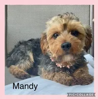 processed/b9a48ab0-6514-460d-ac6a-90c6f0066d8b/listing/7ff84e29-9bea-434c-90a3-c3d6d9464192/6ef73719-114d-4182-a0bf-3bd88eebe6b8