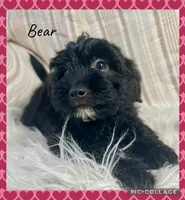 processed/b9a48ab0-6514-460d-ac6a-90c6f0066d8b/listing/7ff84e29-9bea-434c-90a3-c3d6d9464192/7ae9fcd2-8ddb-4b3d-a296-5cdaad229180