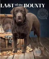 Charlie, a male Labrador Retriever for sale in Millersburg, OH – Photo 4 of 6