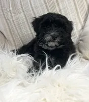 processed/b9a48ab0-6514-460d-ac6a-90c6f0066d8b/listing/95e664ef-ddd1-4c8a-b494-5990be80d5d2/4b475a70-644a-4a07-bfa1-968b0bd97cbe