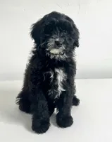 processed/b9a48ab0-6514-460d-ac6a-90c6f0066d8b/listing/95e664ef-ddd1-4c8a-b494-5990be80d5d2/b38cb2b5-19c0-4c6f-8b95-9e49e312ba19