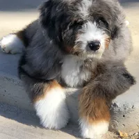 processed/b9a4b1c0-7745-4809-892a-12ec06d26c8e/facility/2a4deec8-b00f-4975-8703-b73a92288d39